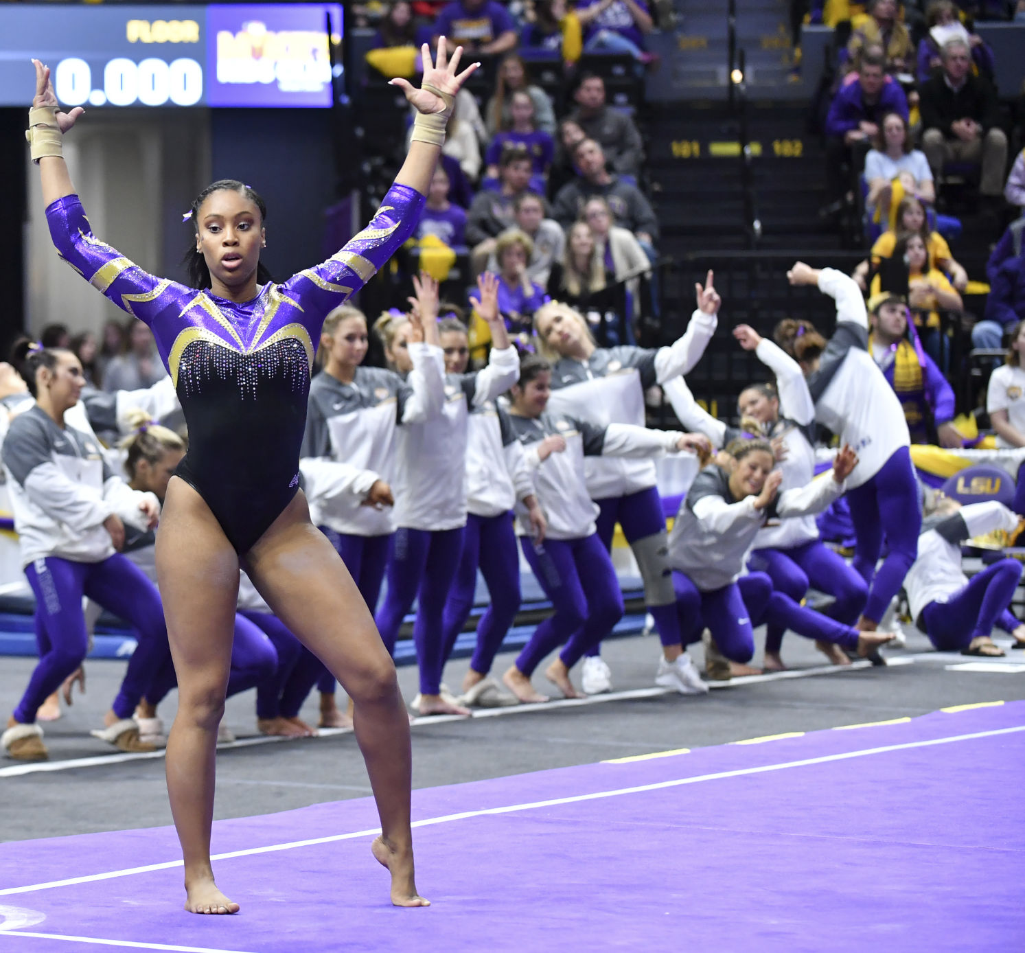 lsucalgymnastics.010519_HS_3273